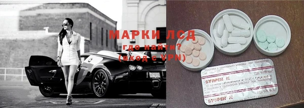 ГАЛЛЮЦИНОГЕННЫЕ ГРИБЫ Белоозёрский