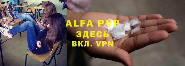 ГАЛЛЮЦИНОГЕННЫЕ ГРИБЫ Белоозёрский