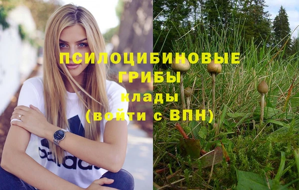ГАЛЛЮЦИНОГЕННЫЕ ГРИБЫ Белоозёрский