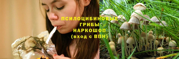 ГАЛЛЮЦИНОГЕННЫЕ ГРИБЫ Белоозёрский