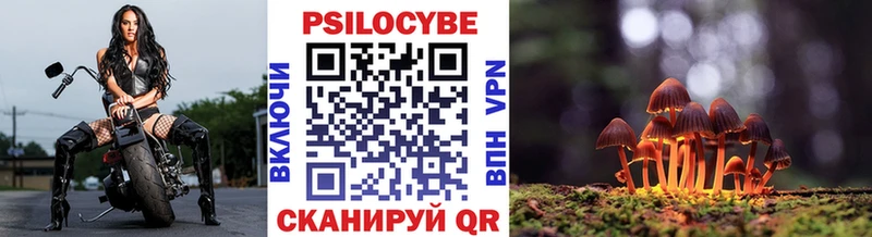 Галлюциногенные грибы MAGIC MUSHROOMS  Купить закладки  Жуковка 
